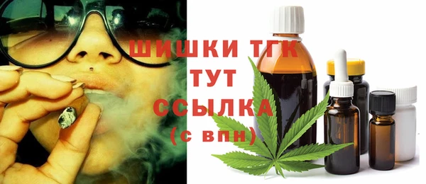 дурь Няндома