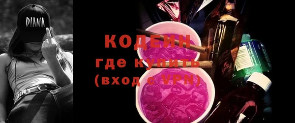 дурь Няндома
