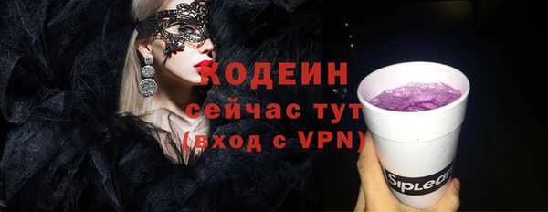 дурь Няндома