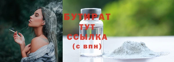 дурь Няндома