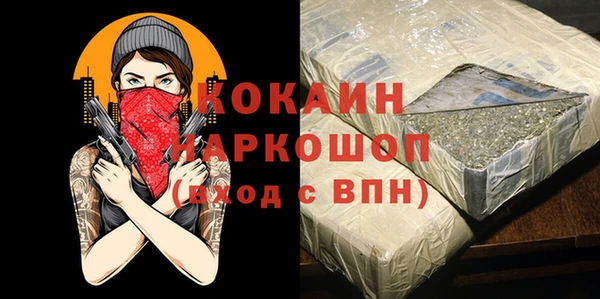 дурь Няндома
