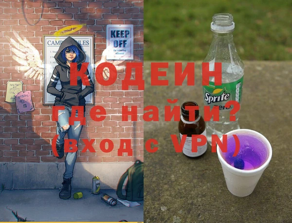 дурь Няндома