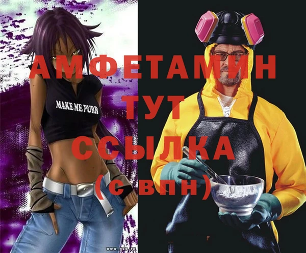 дурь Няндома
