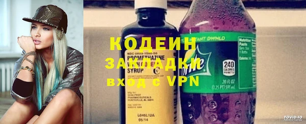дурь Няндома