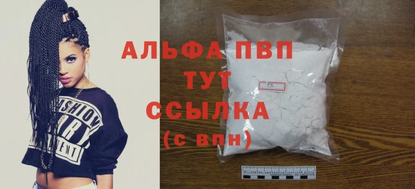 дурь Няндома
